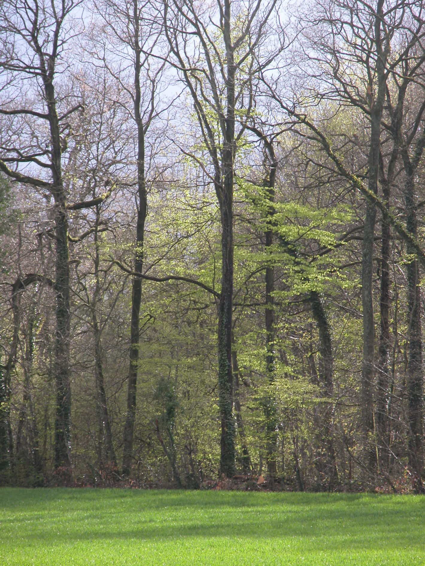 les colines du perche